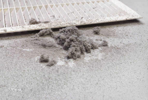 Best HVAC Duct Inspection Services  in Soldotna, AK