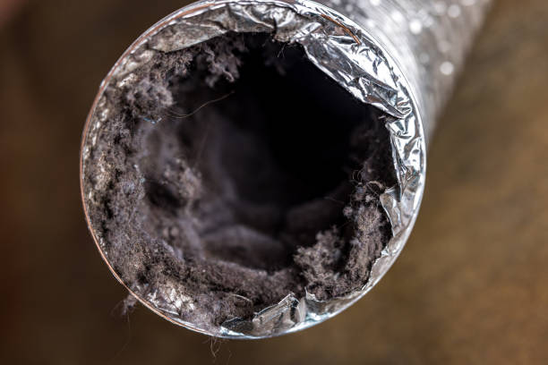 Best HVAC Duct Inspection Services  in Soldotna, AK