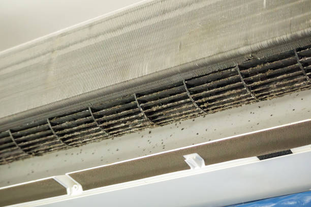 Best Duct Cleaning for Homes  in Soldotna, AK